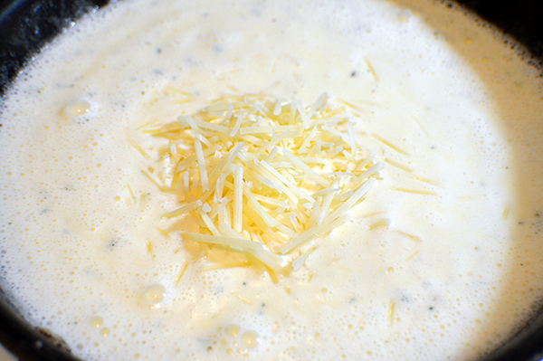 parmesan cheese in sauce