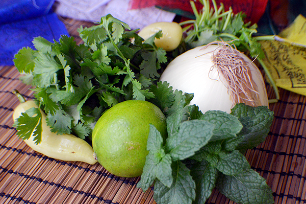 ingredients for mint chutney