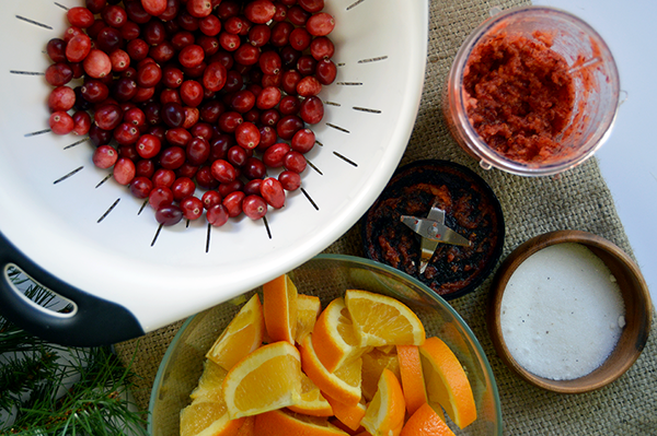 blending cranberry relish