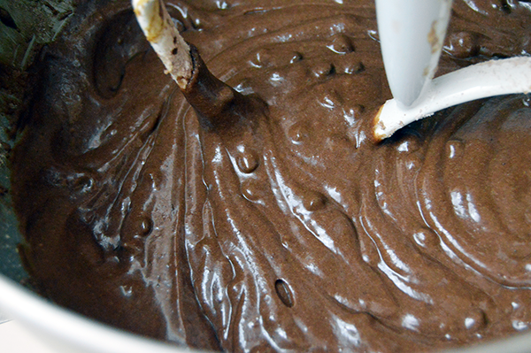 chocolate chip cupcake batter