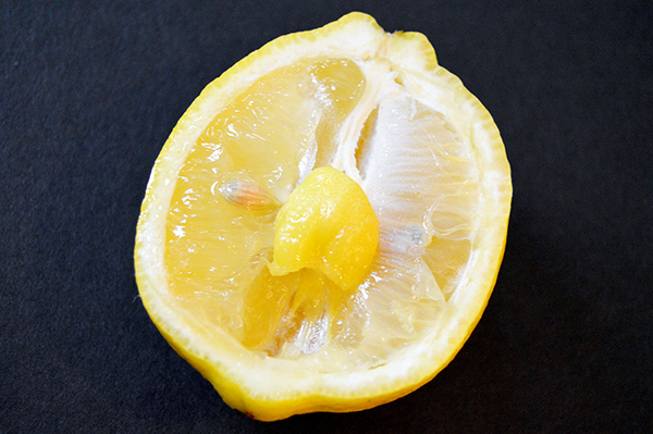 baby lemon inside bigger lemon