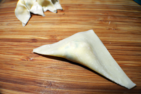 stuffed wonton wrapper