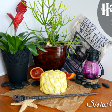 sirius black harry potter birthday cake