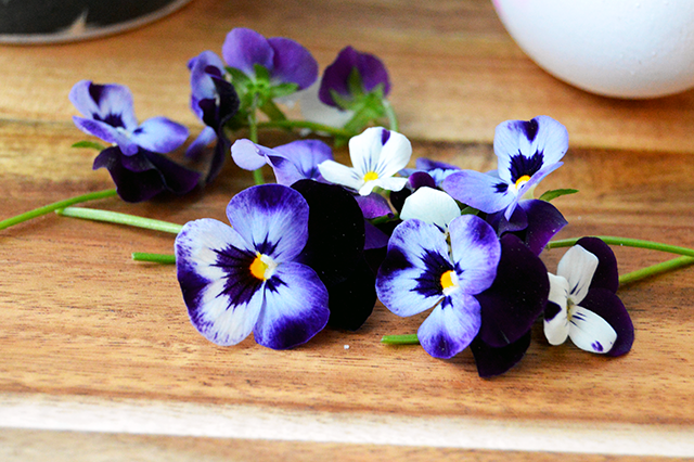 pretty viola flowers