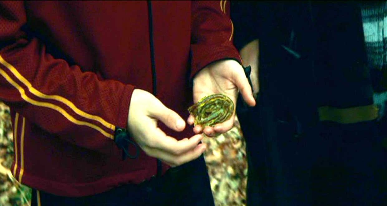 gilly weed in harry potter goblet of fire