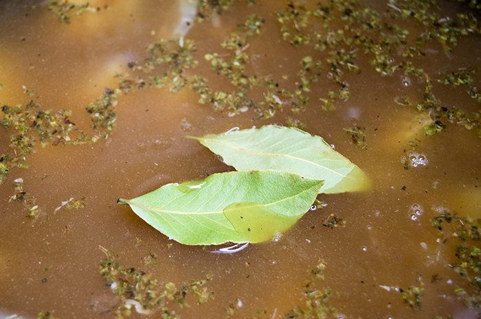 bay leaves in soup