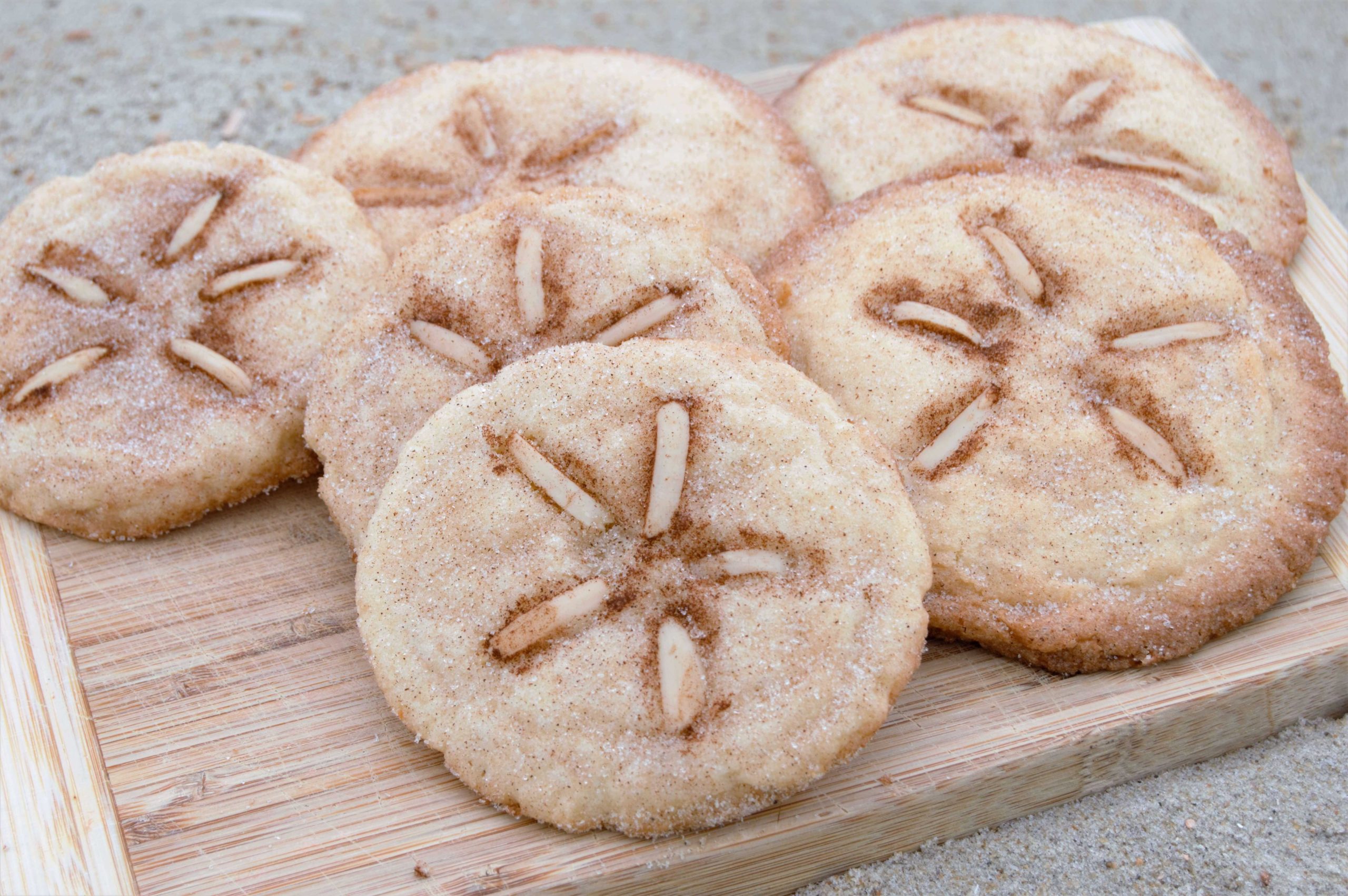 beach cookies