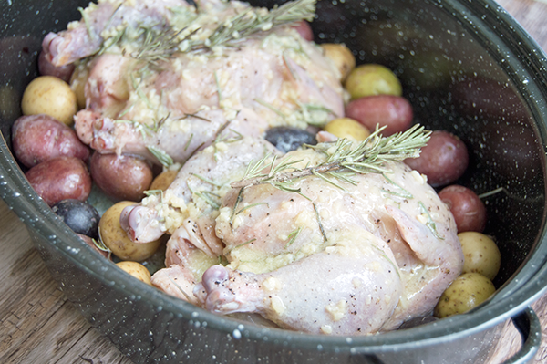 cornish hen and potatoes in roasting pan