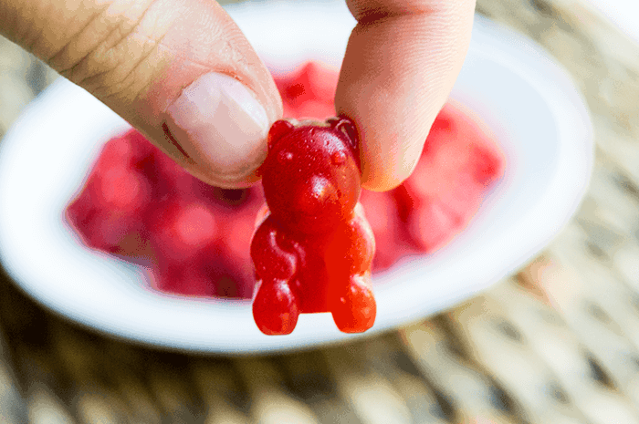 fresh fruit gummy bears