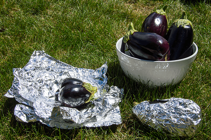 garden fresh eggplants