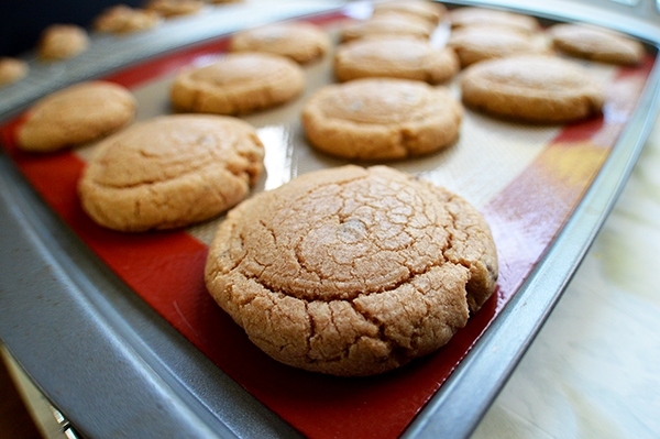 baked cocoa cookies