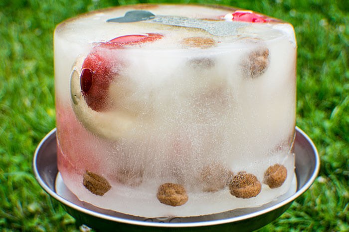 Ice Cube Cake For Dogs