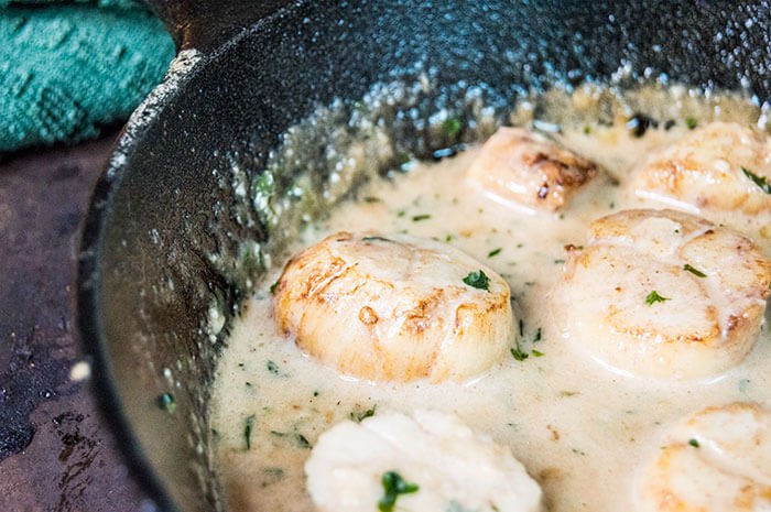 scallops in a skillet