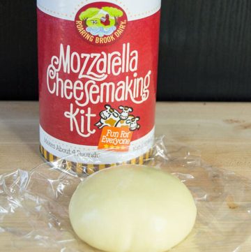 mozzarella cheese kit