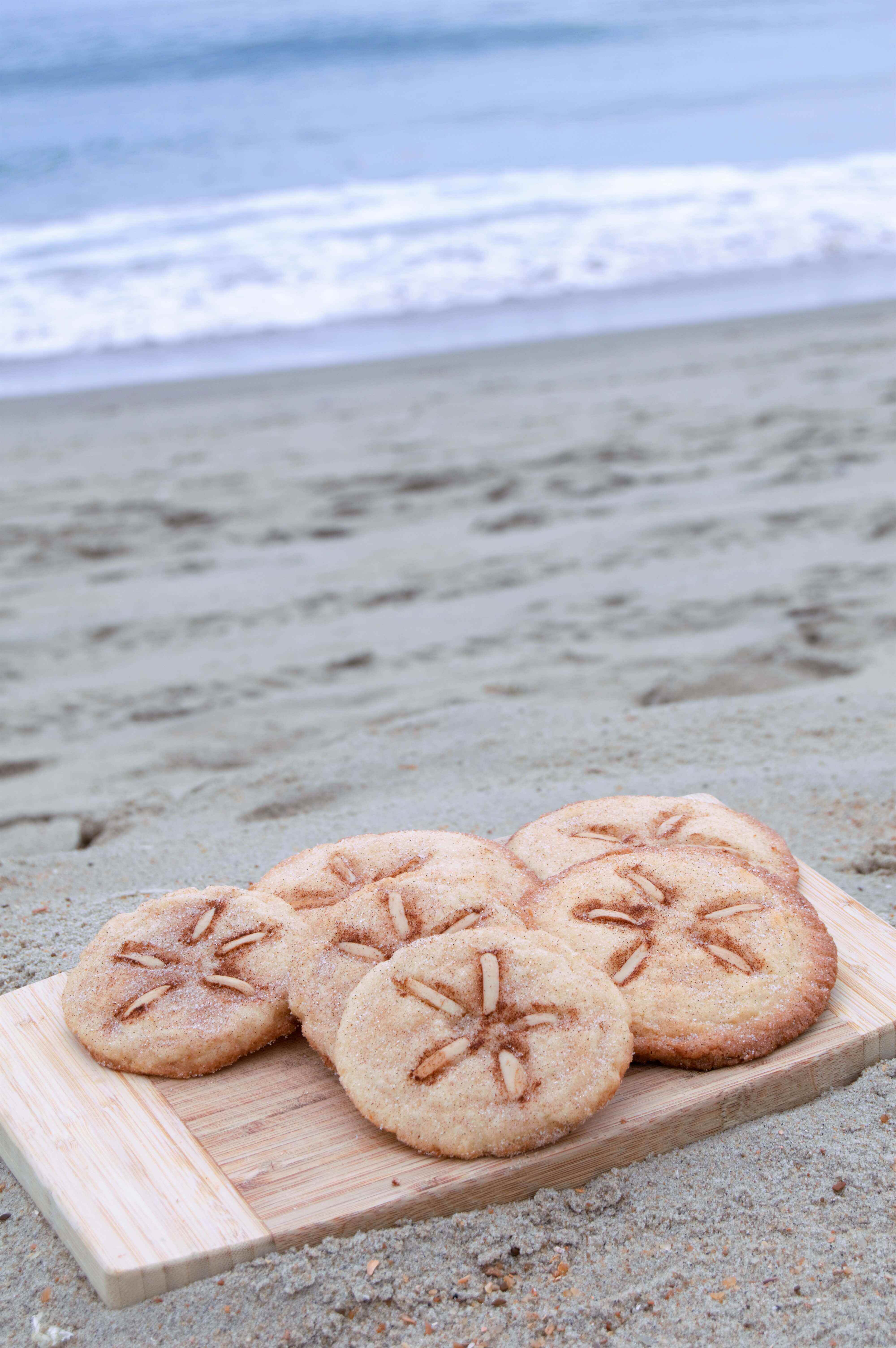 sand dollar cookies on the beach