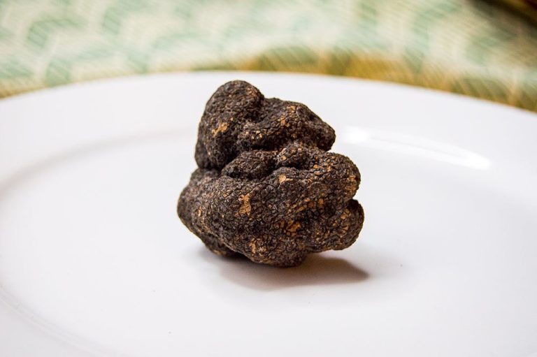 What the heck is a BLACK TRUFFLE anyway?