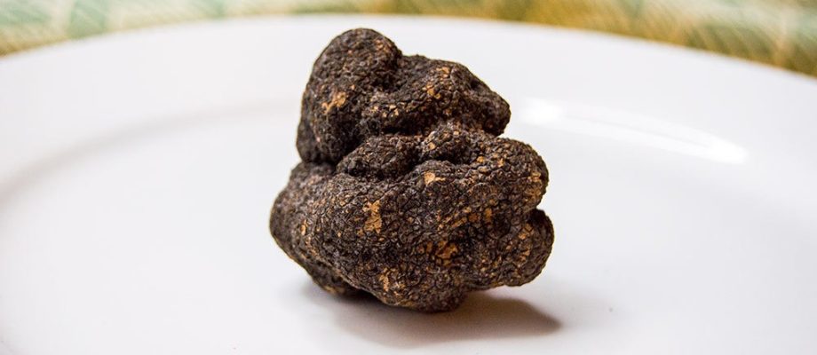 black truffle