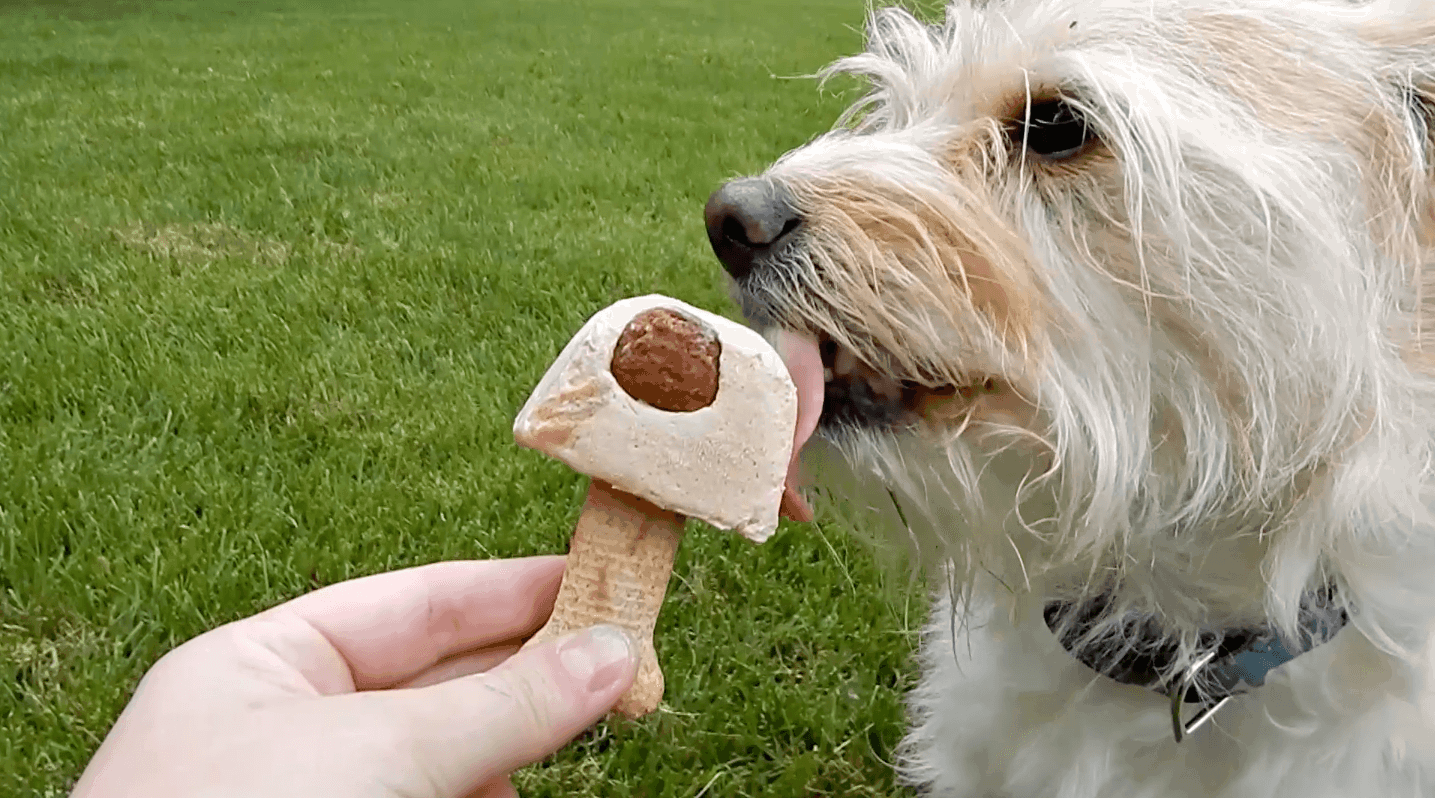 Puppy Popsicles aka PUPSICLES - The Starving Chef