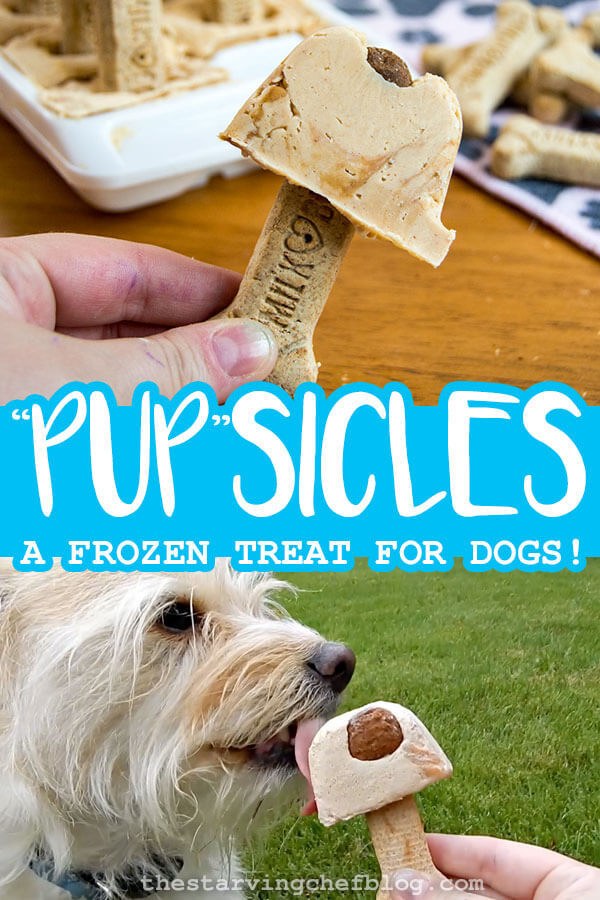 Frozen 'Pupsicle' Dog Treats – The Sisters Kitchen