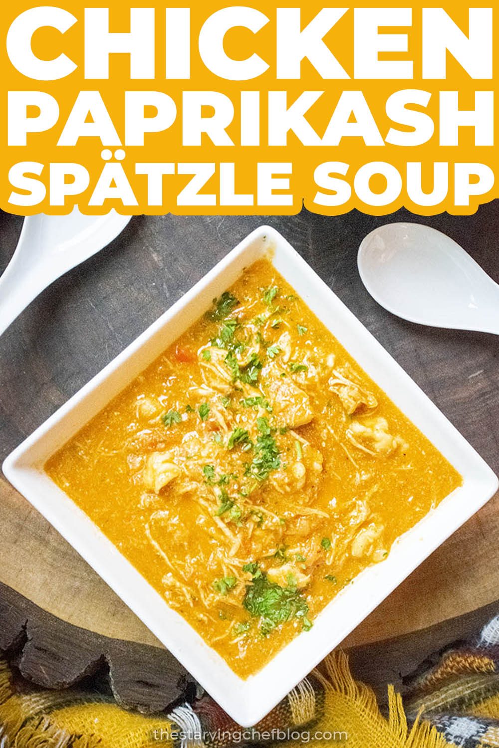 chicken paprikash soup recipe