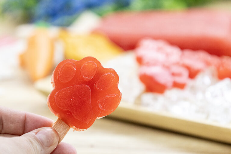 Making “PAWPSICLES” from Zootopia