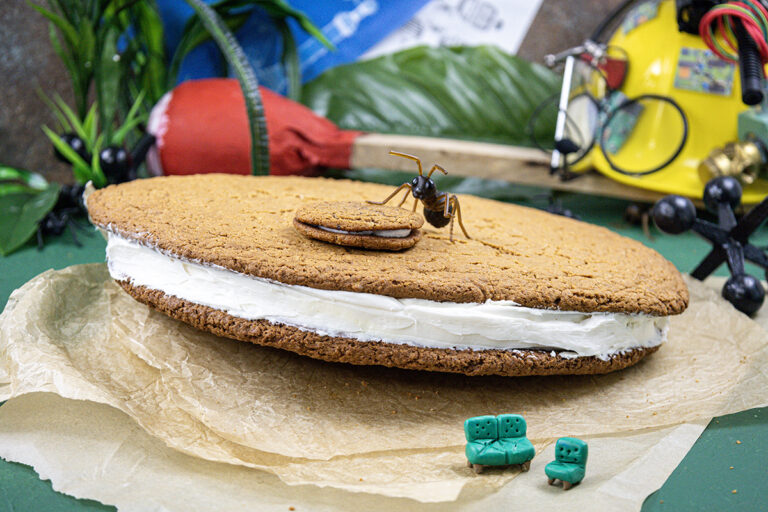 How to Make a Giant Oatmeal Creme Pie Inspired by Honey, I Shrunk the Kids